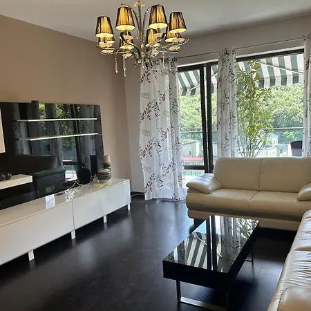 Comfort Tampa -