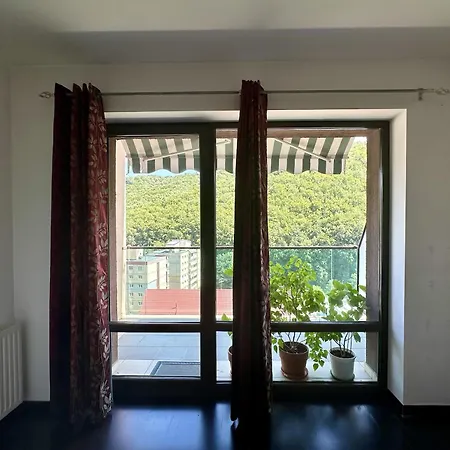 Comfort Tampa - Apartment *